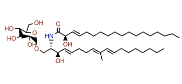 Sarcoehrenoside A